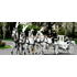 Kilvahan Horse Drawn Carriages image